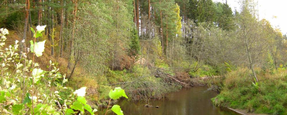 
            Фотография Перетенки 2-й