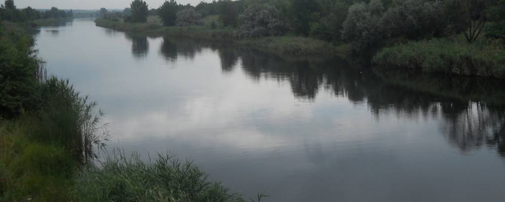 
            Фотография Орельки