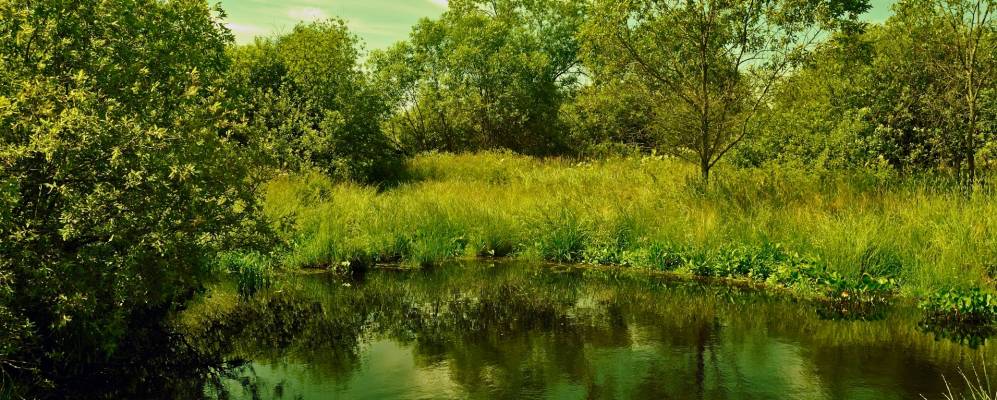 
            Фотография Вложкино