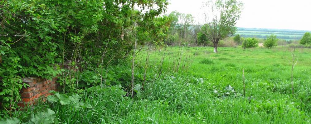 
            Фотография Малоленинского