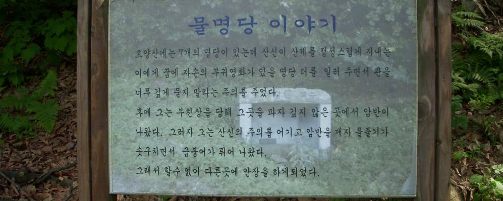 
            Фотография Пхубала