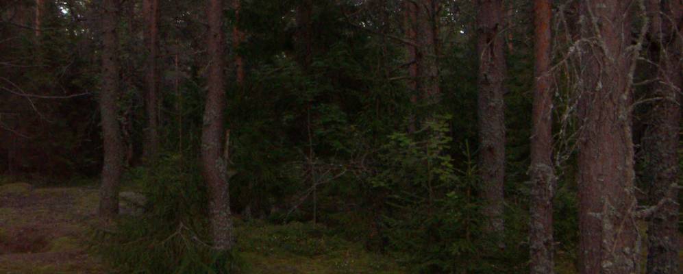 
            Фотография Косарево