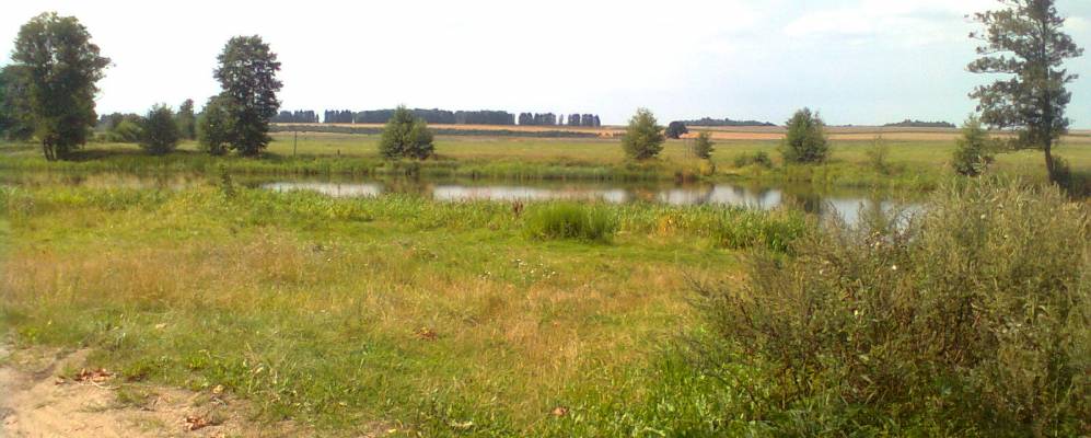 
            Фотография деревни Лосевцы