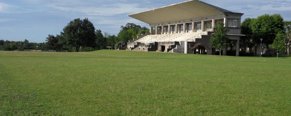 
            Фотография Дардийи