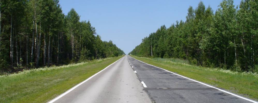 
            Фотография Мезги