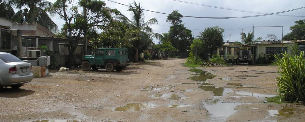 
            Фотография Чичиривиче