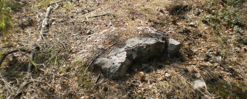 Фотография Селезнево