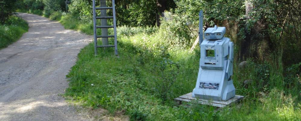 Фотография Колоска