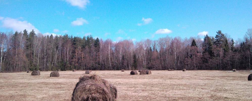 
            Фотография Добродеево