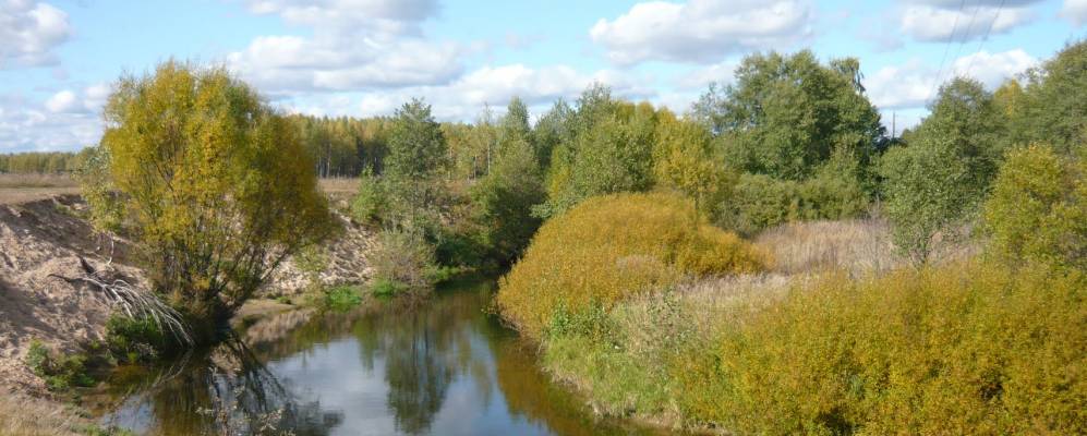 
            Фотография Дрюково