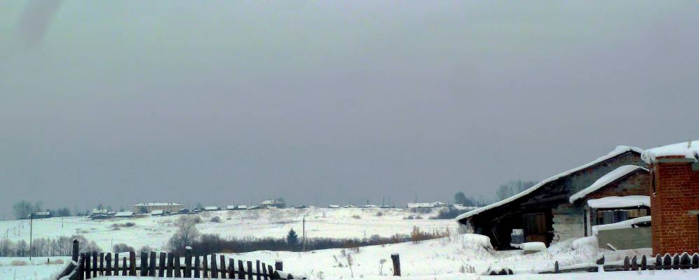 
            Фотография Шевелева