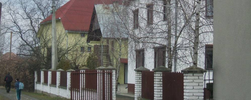 
            Фотография Чомонина