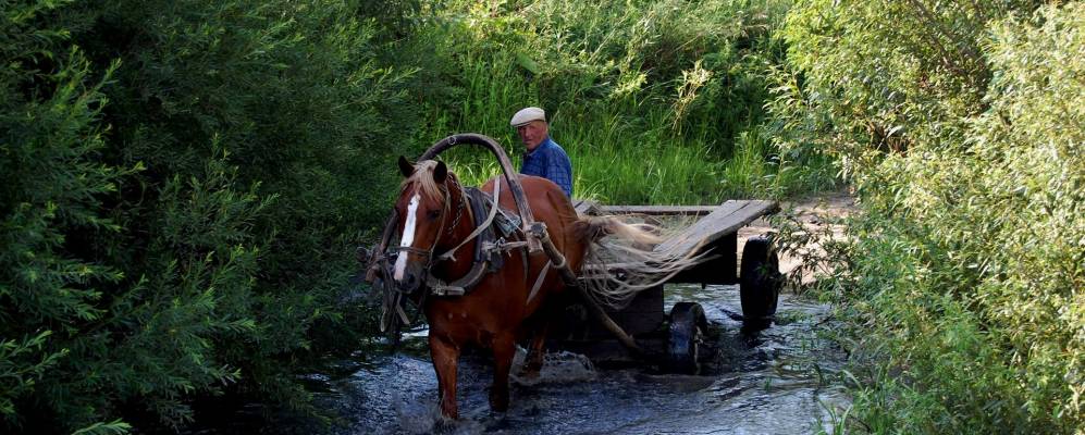 
            Фотография Николаевки