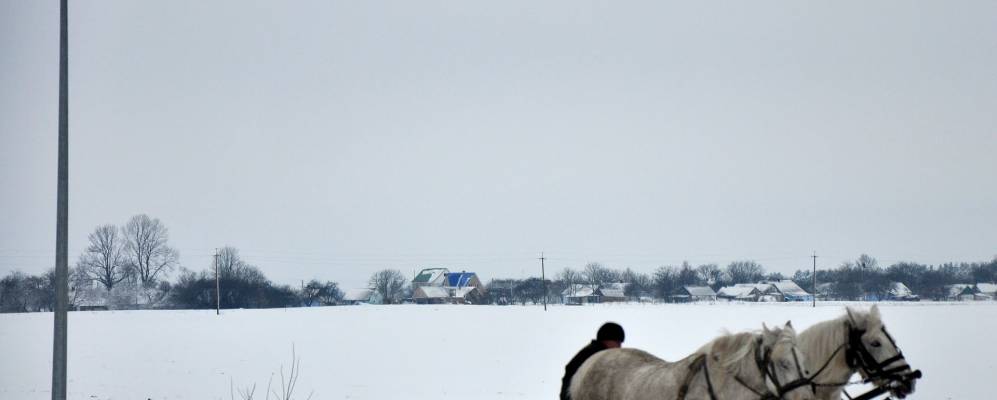 
            Фотография Забары