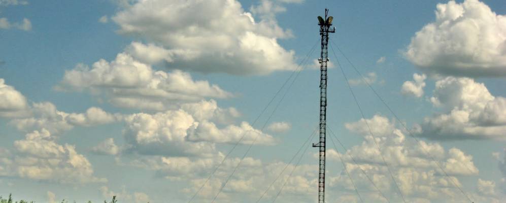 
            Фотография Болгара