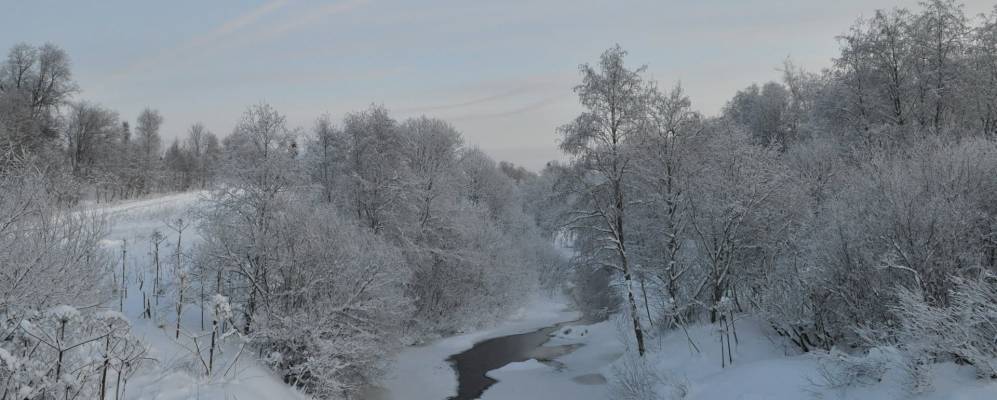 
            Фотография деревни Монастырьки