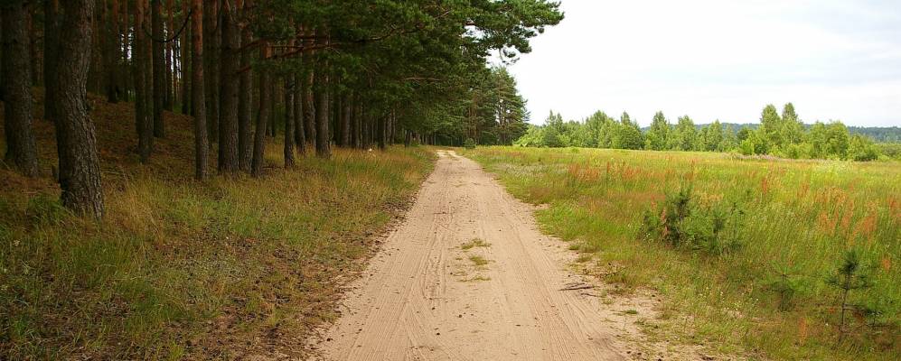 
            Фотография Боровой