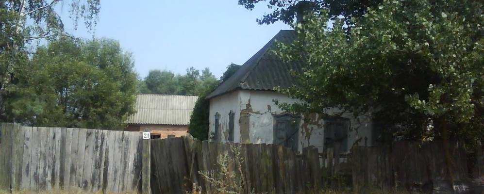 Фотография Залужан