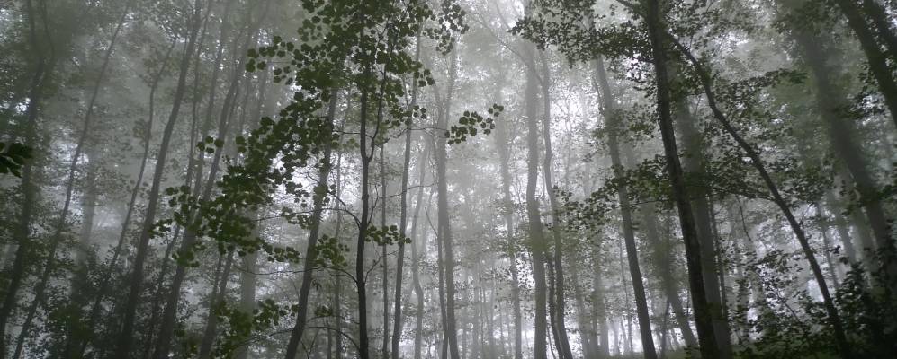 
            Фотография Ренажа