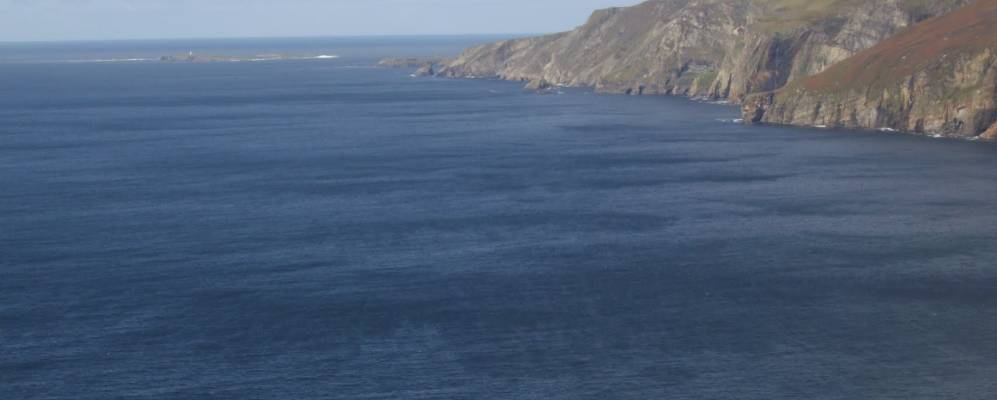 
            Фотография Донахади