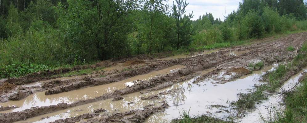 
            Фотография Мызино