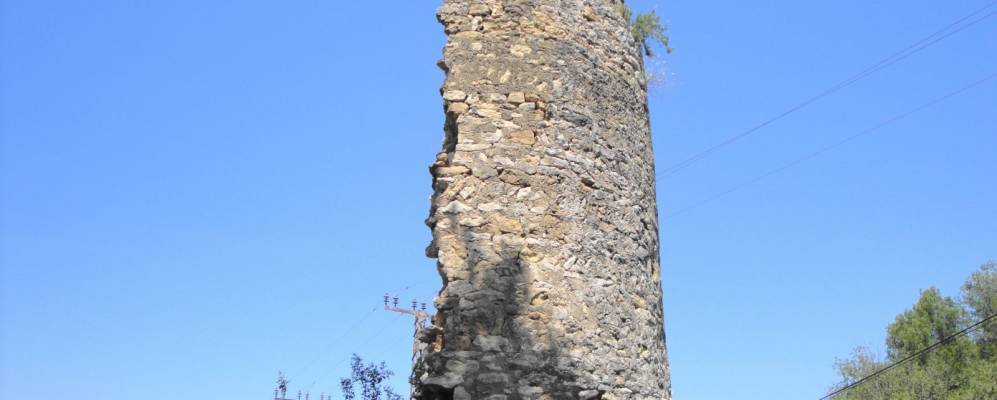 
            Фотография Ardenya