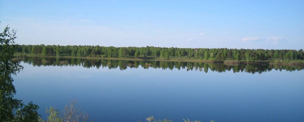 
            Фотография Наволока