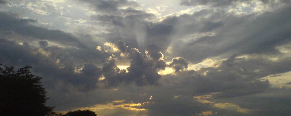 
            Фотография Подгорного