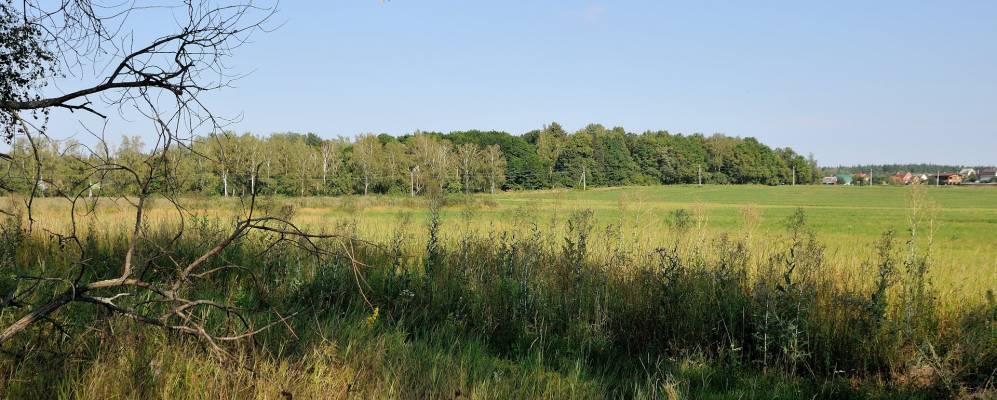 
            Фотография Жеребятьево