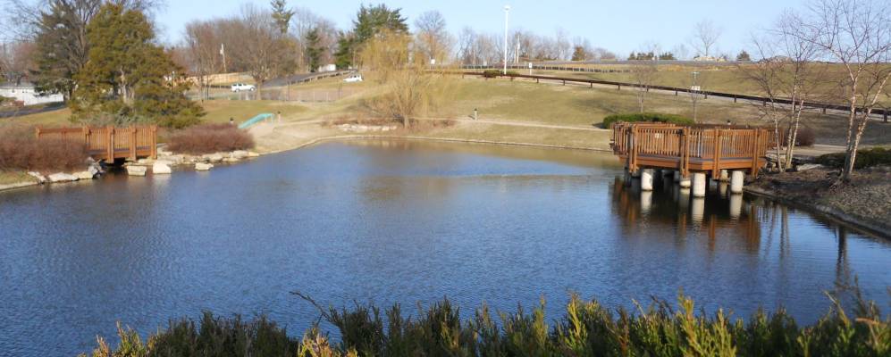 
            Фотография Винчестера