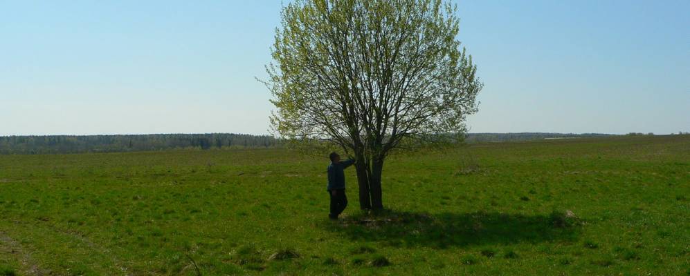 Фотография Тулаги