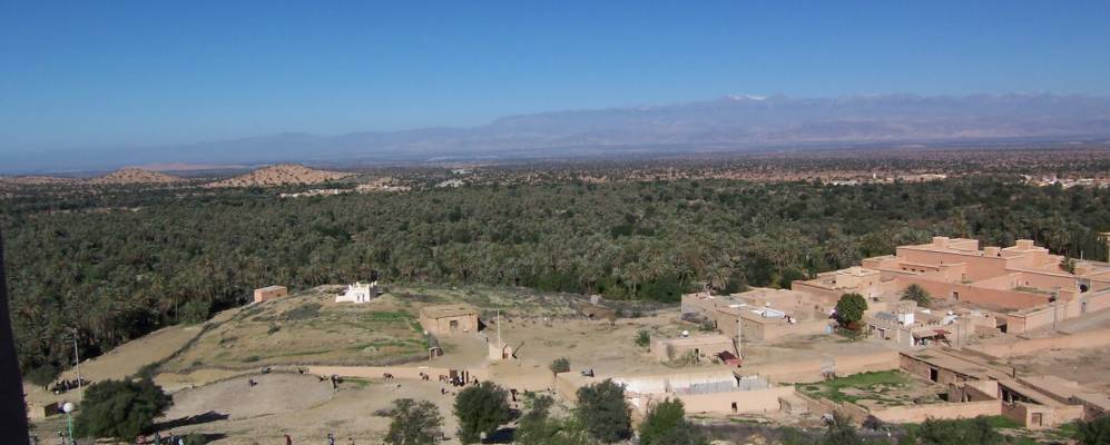 
            Фотография Tiout