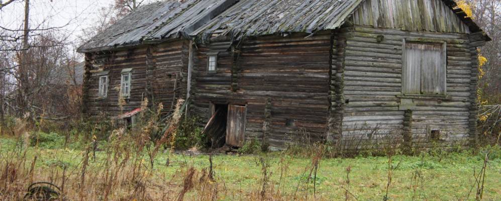 
            Фотография Шедрино