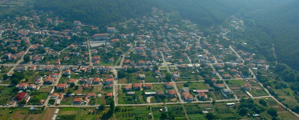 
            Фотография Зигоса