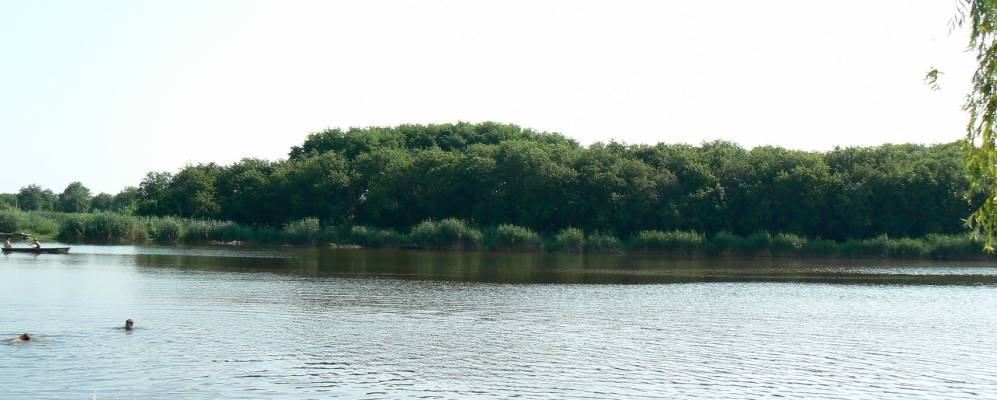 Фотография Веселого