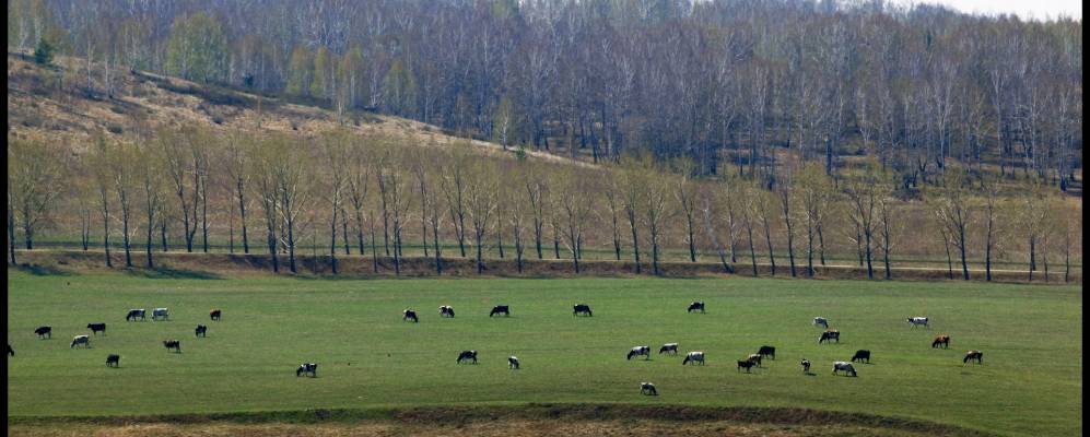 
            Фотография Лугового