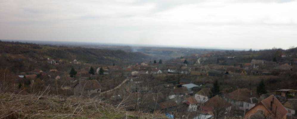 
            Фотография Лежимира