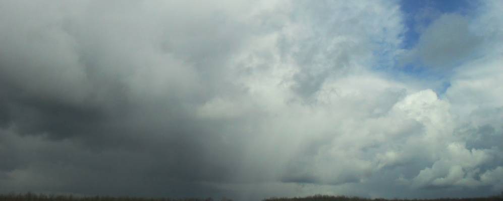 
            Фотография Криничного