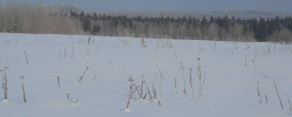 Фотография Наумовки
