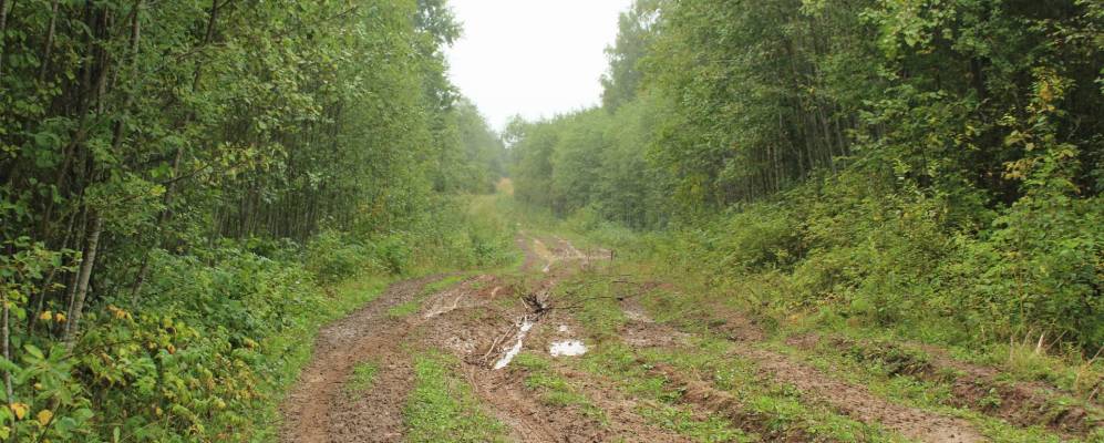 
            Фотография Степаново