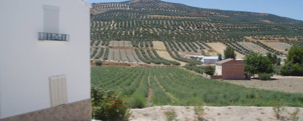 
            Фотография Santo Tomé