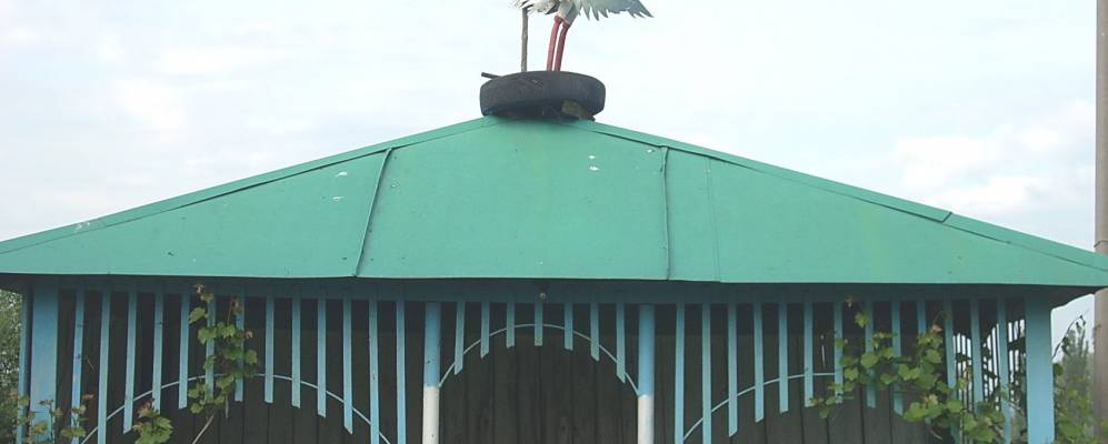 Фотография Ребриково