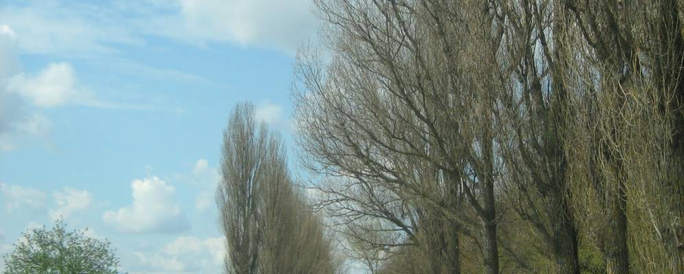 
            Фотография Песков