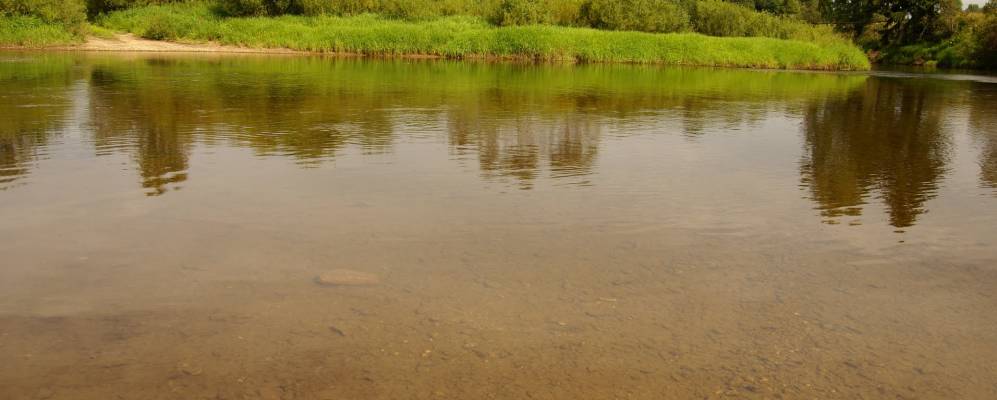 
            Фотография Никольского