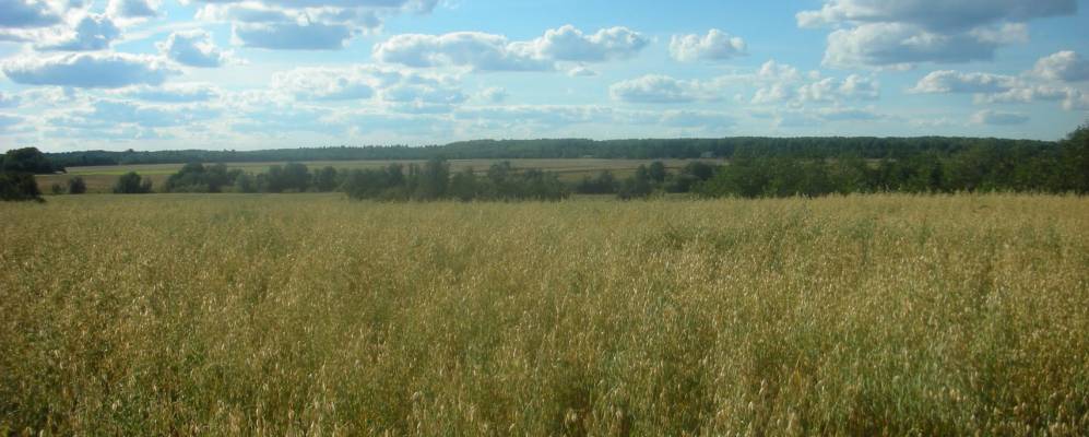 Фотография Баринцево