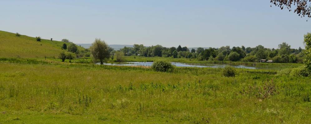 
            Фотография Костенева