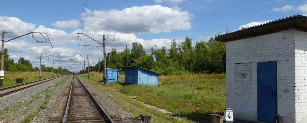 
            Фотография Кошкино