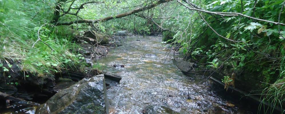 
            Фотография Хребта-Уральского