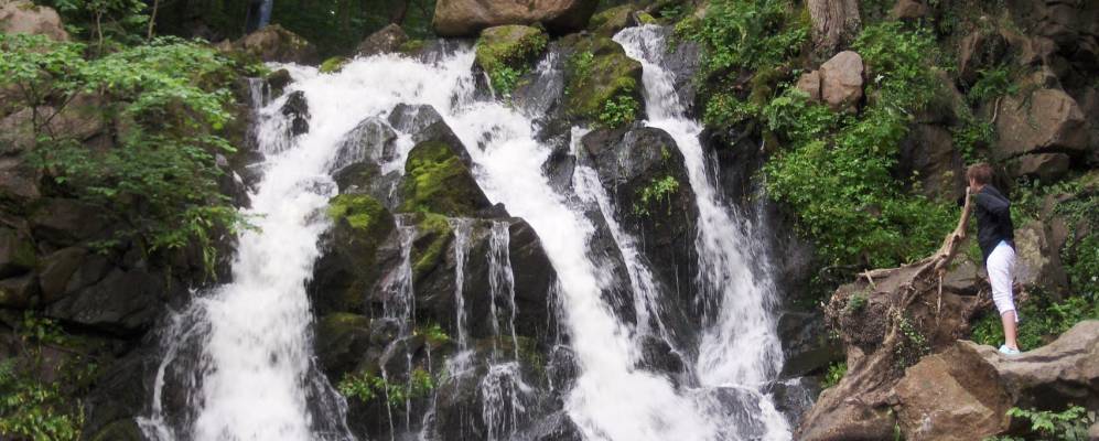 
            Фотография Бодстеда