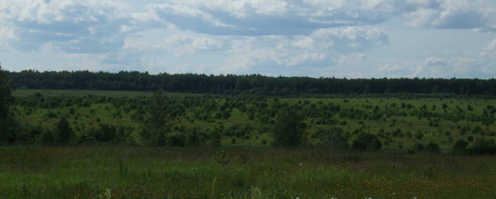 Фотография Немерино